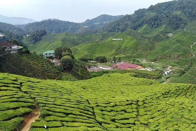 2 Days Private Vehicle With Driver -Explore Malaysia By Your Own Plans - Day two: build your own Kuala Lumpur route