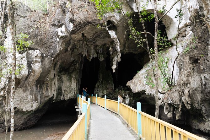 2 Hours Private Mangrove Tour Langkawi - Moving Through the Mangrove River