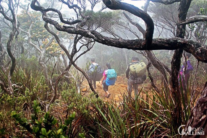 2d1n Mount Kinabalu Via Ferrata - Walk The Torq - 6:30 am Pickup From Kota Kinabalu