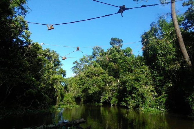 2D1N Sandakan Private Tour with Kinabatangan River Cruise - Sepilok, orangutans, and the value of a guided visit