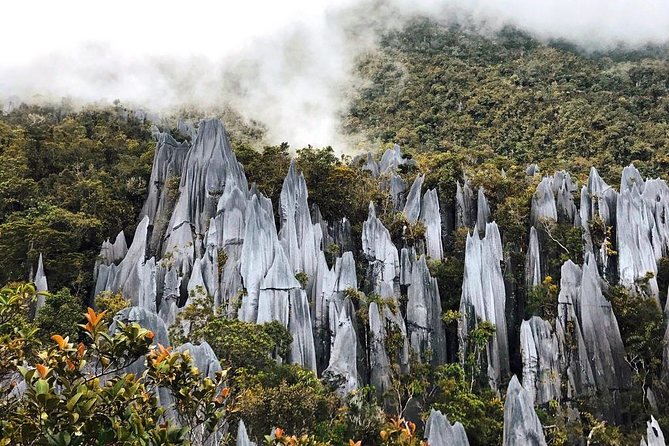 3 Days 2 Nights Unesco World Heritage Mulu 4 Showcaves - The five details that shape the experience