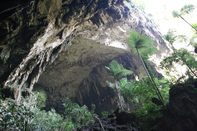 3 Days 2 Nights Unesco World Heritage Mulu 4 Showcaves - Who should book this Mulu experience?