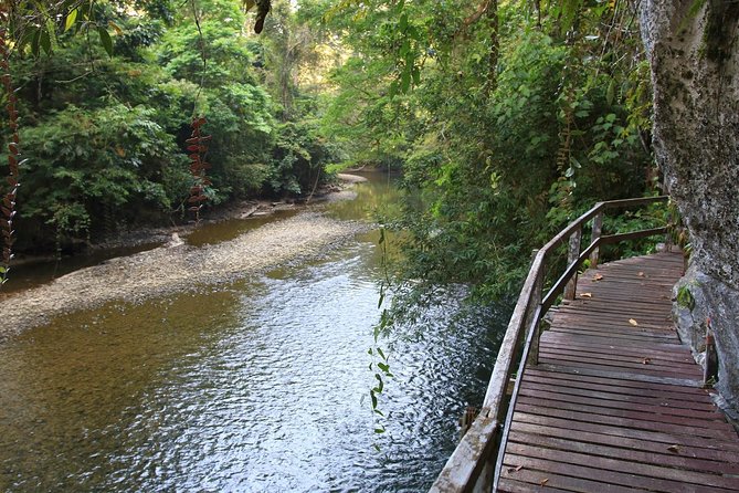 3 Days 2 Nights Unesco World Heritage Mulu 4 Showcaves - Day 2: Penan culture, river travel, and two more caves