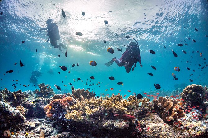 (3 Days) PADI Open Water Diver Course Kota Kinabalu - The Instructor Support Makes a Difference