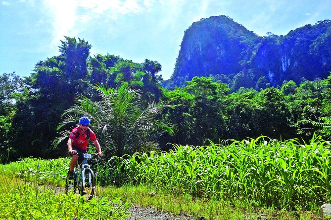 3-in-1 Ultimate Borneo Expedition Adventure - Key details before you book