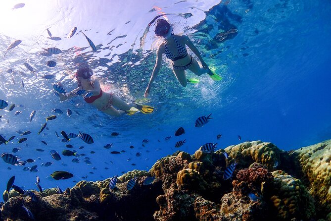 3 Semporna Islands Tour with Snorkel or Diving Experience - Lunch and a slower hour at Mataking