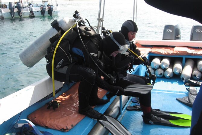 3 Semporna Islands Tour with Snorkel or Diving Experience - What the guides add to the day