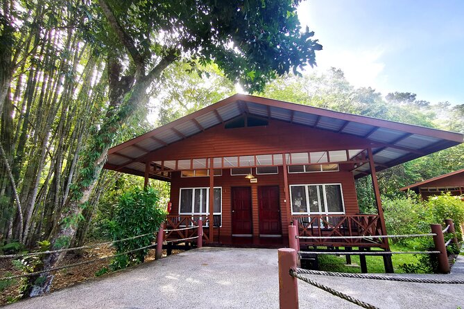 3D2N Sukau Wildlife Experience - Day 2 at 6:00 AM: birds and Kelenanap Ox-Bow Lake