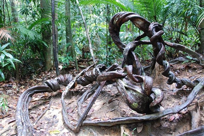 4-Day Jungle Experience in Taman Negara from Kuala Lumpur - Lata Berkoh by boat