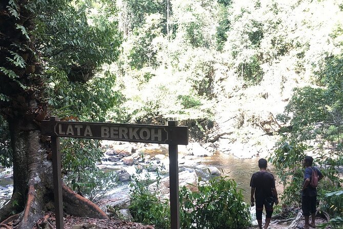 4-Day Jungle Experience in Taman Negara from Kuala Lumpur - The canopy walk problem