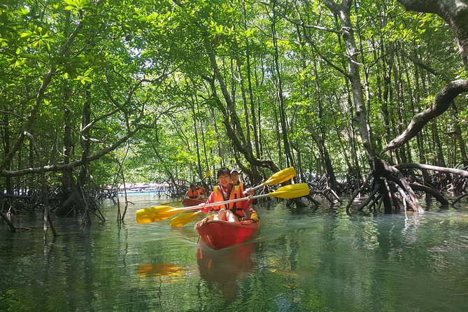 5 Hours Kilim Mangrove Kayaking Sharing Tour (With Hotel Pickup) - Why this Langkawi outing is worth your morning