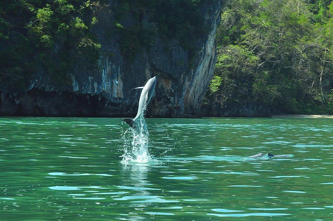 5 Hours Sharing Basis Kilim Mangrove Safari Boat Tour in Langkawi - What the five hours really feel like