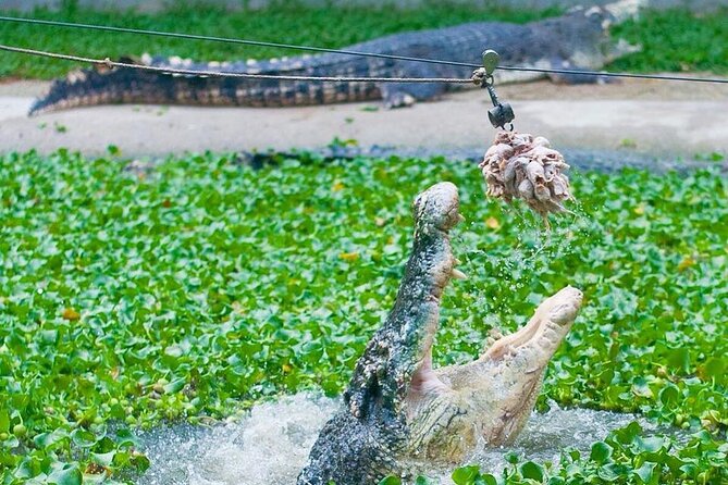 Adventure Combo - What the Crocodile Adventureland visit is really like