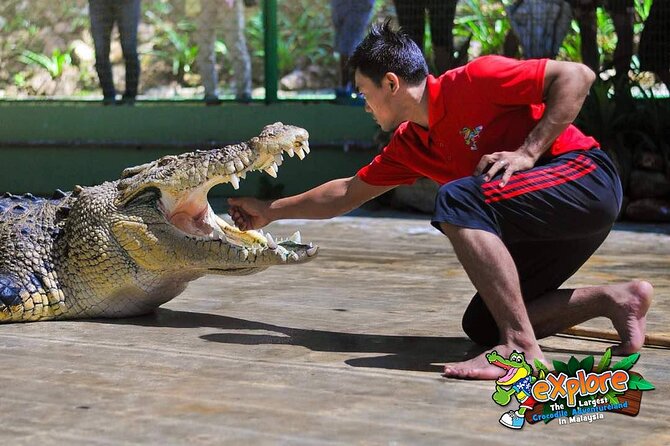 Adventure Combo - Crocodile fishing and the first live demonstrations