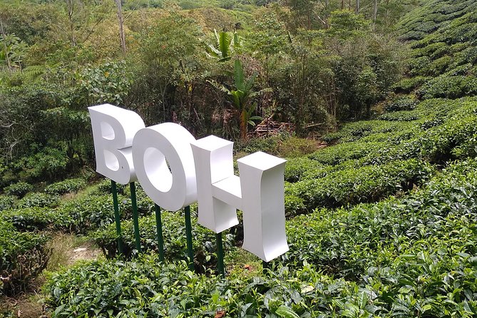 Amazing Cameron Highland Day Tour From Kuala Lumpur - Leaving Kuala Lumpur at 7:00 am