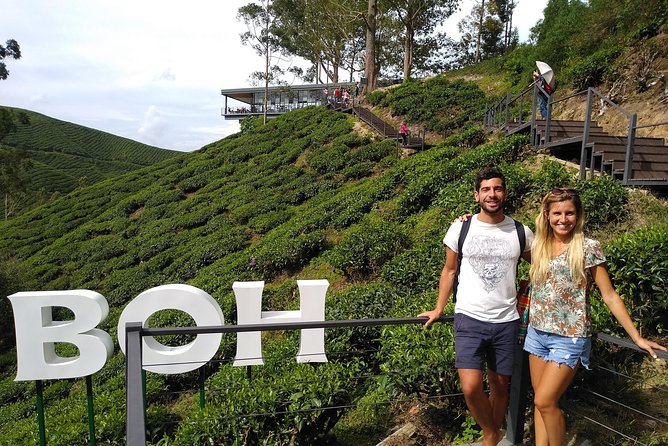 Amazing Cameron Highland Day Tour From Kuala Lumpur - Butterfly Garden: more than butterflies