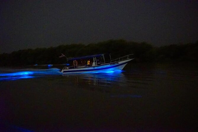 Amazing Fireflies With Blue Tears Watching & Kuala Selangor Tour - Kampung Kuantan and the firefly boat