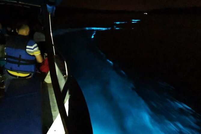 Amazing Fireflies With Blue Tears Watching & Kuala Selangor Tour - Blue tears and the reality behind the photographs