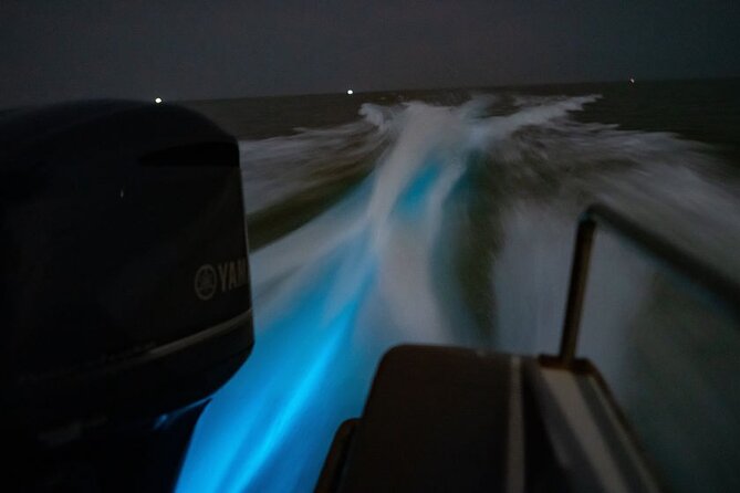 Amazing Fireflies With Blue Tears Watching & Kuala Selangor Tour - Melawati Hill, monkeys, and Strait of Malacca views