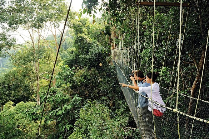 Amazing Taman Negara Day Trip from Kuala Lumpur Including Lunch - The three-hour ride into the rainforest