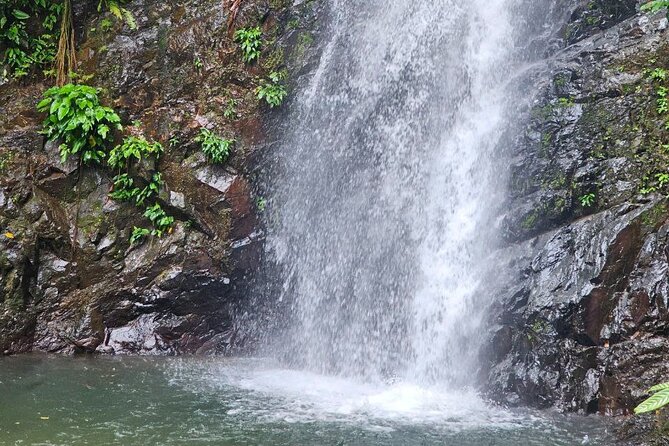 ATV Jungle Trail & Waterfall Experience with Hotel Transfer - Starting safely if you have never ridden an ATV