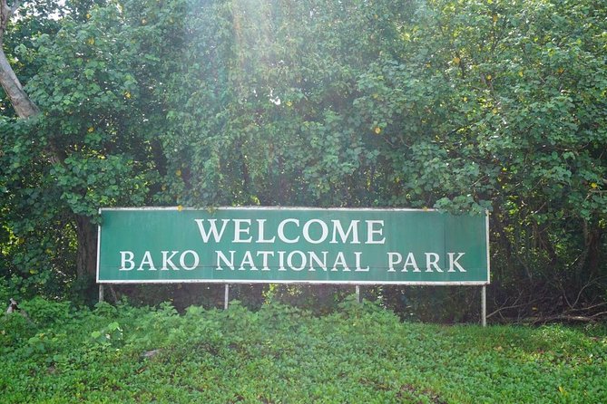Bako National Park - Who will enjoy this outing most?