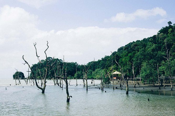 Bako National Park from Kuching City - The boat crossing is beautiful, but tide controls the clock