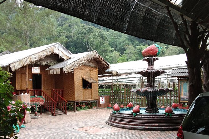 Batu Caves and Genting Highland Tour - Taking the Awana Skyway toward Genting Highlands