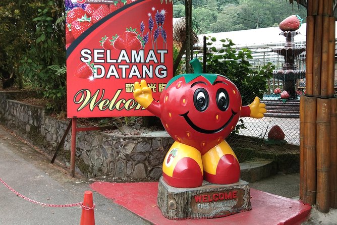 Batu Caves and Genting Highland Tour - What the private vehicle adds for $70.30