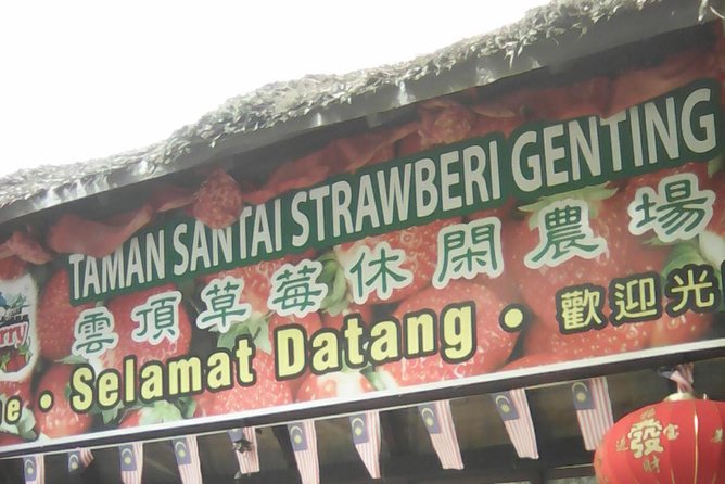Batu Caves and Genting Highland Tour - Booking, weather, and cancellation details
