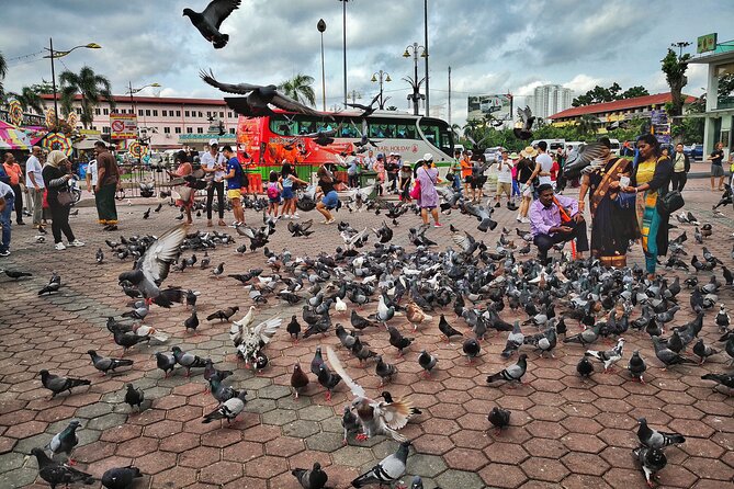 Batu Caves Twilight and Little India Evening Tour - Who will enjoy this Batu Caves evening tour?