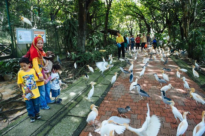 Bird Park & Butterfly Farm Nature Include All Entrance Tour From Kuala Lumpur - Is $74 per person good value?