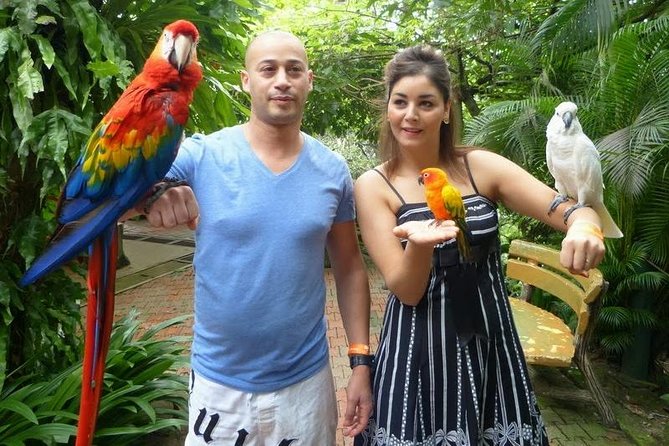Bird Park & Butterfly Farm Nature Tour From Kuala Lumpur - Taman Orkid and Kuala Lumpur’s orchid collection