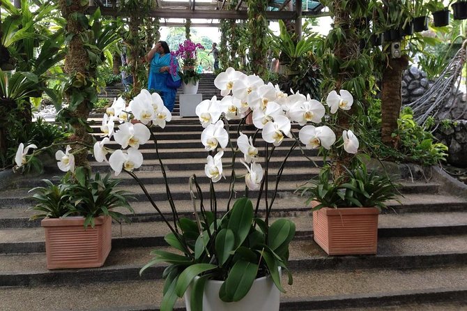 Bird Park & Butterfly Farm Nature Tour From Kuala Lumpur - Timing, pace, and who will enjoy it