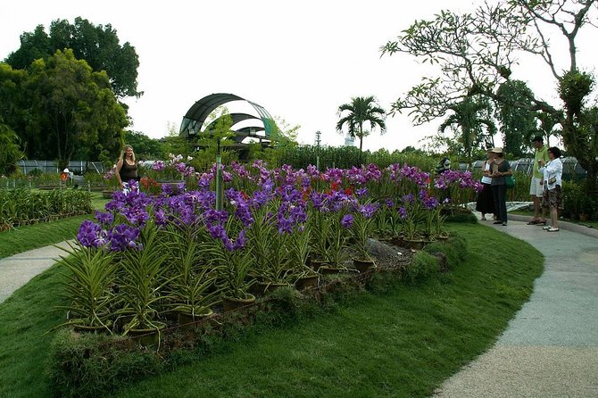 Bird Park & Butterfly Farm Nature Tour From Kuala Lumpur - Kuala Lumpur Butterfly Park, a warm garden stop