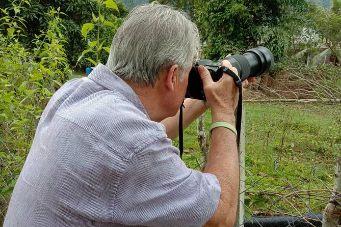 Birdwatching: Desaru's Winged Gems - What makes this Desaru birdwatching tour worth considering