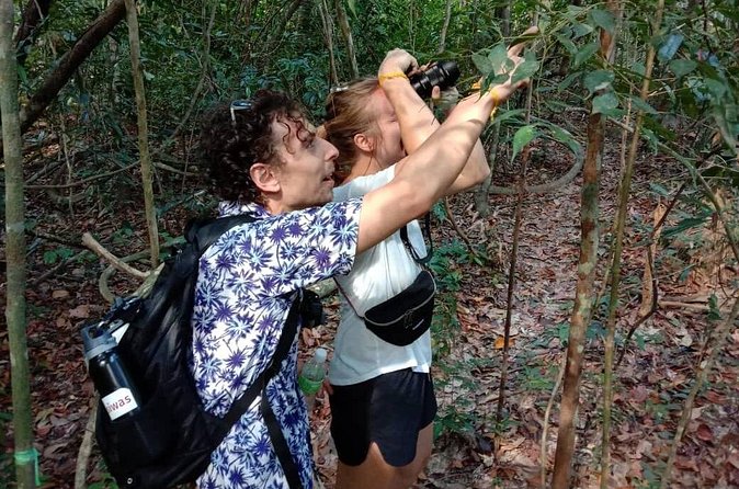 Birdwatching: Desaru's Winged Gems - The value of $39.10 per person