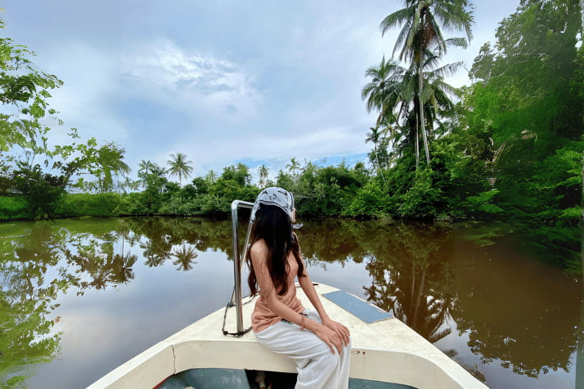 Bongawan River Cruise: Proboscis Monkey & Fireflies Mangrove - The Bongawan River Cruise is a patient wildlife search