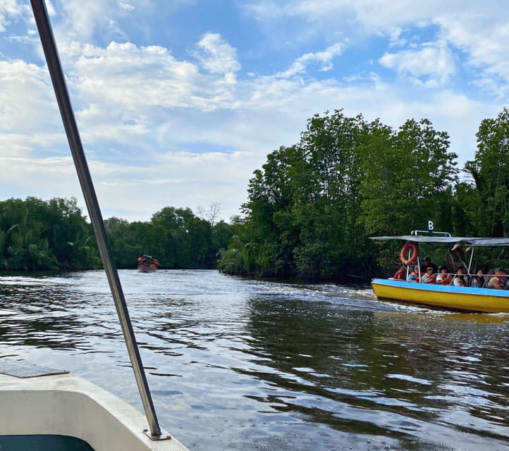 Bongawan River Cruise: Proboscis Monkey & Fireflies Mangrove - Fireflies provide the evening’s strongest finish
