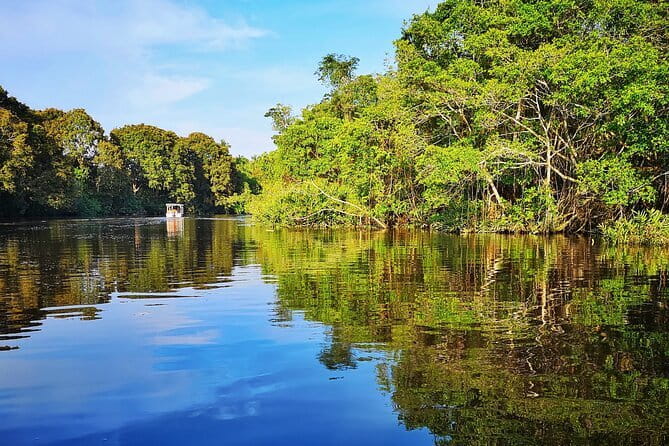 Bongawan River Cruise Proboscis Monkey, SkyMirror, Fireflies - Fireflies after dark
