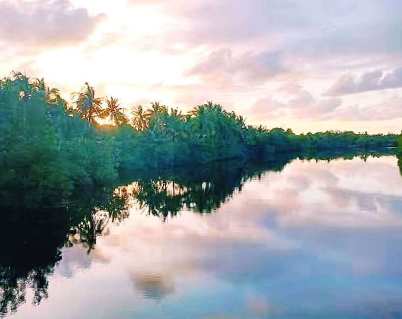 Bongawan Wetland: Proboscis Monkey and Fireflies Shared Tour - Key points to know before you go