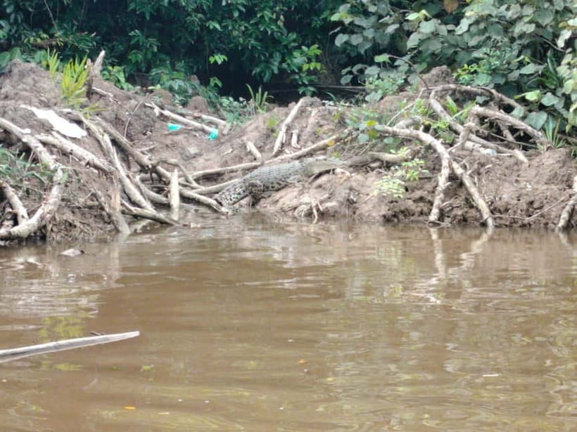 Bongawan Wetland: Proboscis Monkey and Fireflies Shared Tour - The noon pickup and the ride from Kota Kinabalu