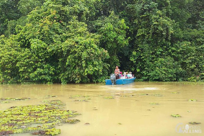 Borneo Kinabatangan River Cruise Day Trip - What wildlife sightings are really worth