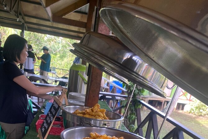 Borneo (Klias) River Cruise & Fireflies Tour - The first cruise: proboscis monkeys and mangrove wildlife