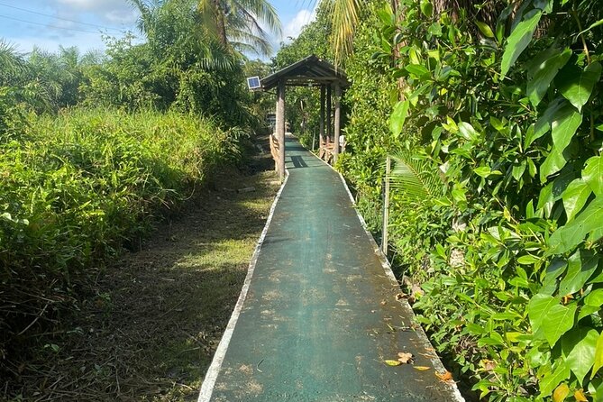 Borneo (Klias) River Cruise & Fireflies Tour - Dinner with local Malaysian dishes
