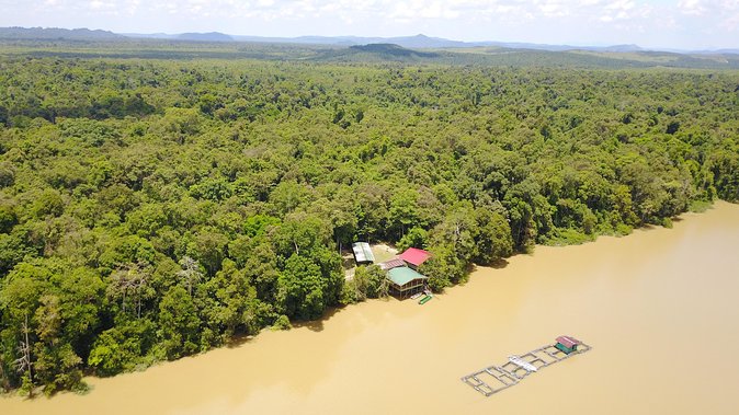 Borneo Wildlife Tour 3 Days 2 Nights At Tanjung Bulat Jungle Camp Kinabatangan - Booking, cancellation, and timing tips
