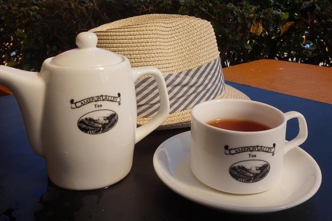 Cameron Highland Best Day Tour from Ipoh with Lunch ( Day Trip) - BOH Tea Centre and the first taste of the highlands