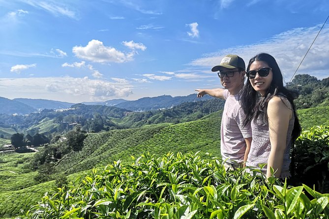Cameron Highland Best Day Tour from Ipoh with Lunch ( Day Trip) - Orchid and Rose Garden in Kea Farm