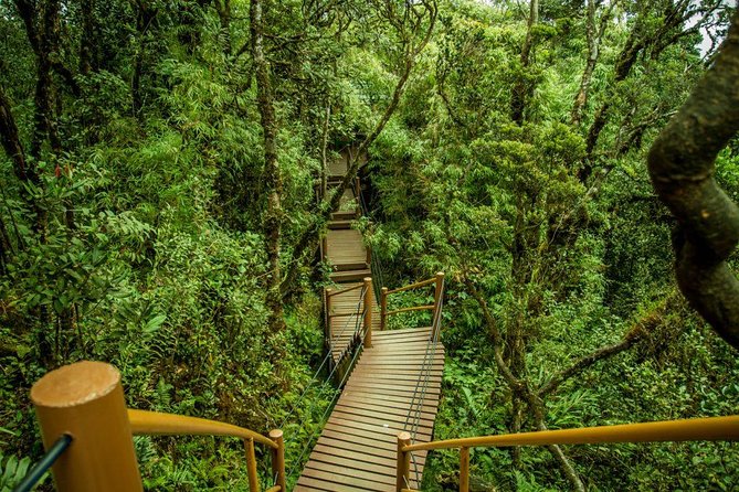 Cameron Highland Day Tour from Kuala Lumpur - Butterfly, honey, and cactus gardens