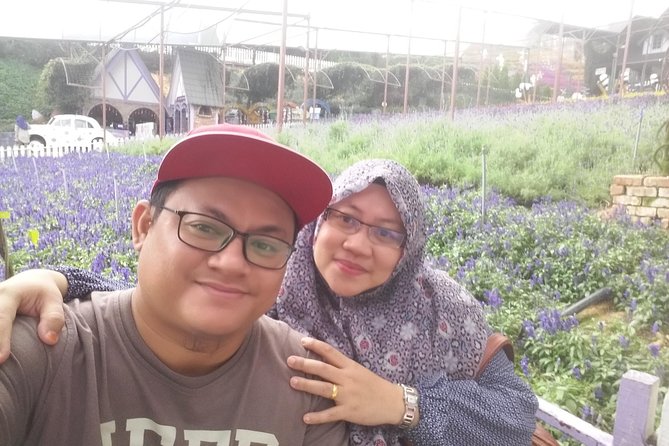 Cameron Highland Day Trip - Why this highland escape works from Kuala Lumpur